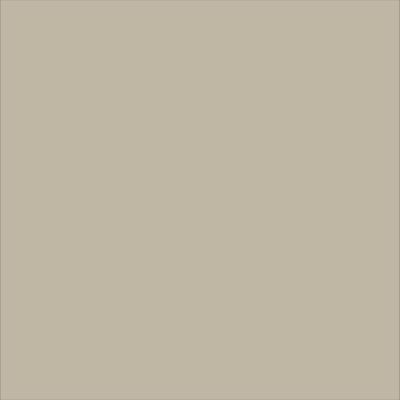 Peinture Plafond Sublimé Tollens mat beige havane 2L