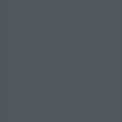 Peinture Plafond Sublimé Tollens mat gris anthracite 2L