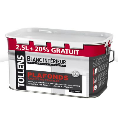 Peinture Plafonds Taches Tollens Blanc Mat Velours 2 5l 20 Gratuit Castorama