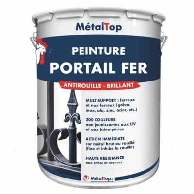 Peinture Portail Fer - Bleu pastel - RAL 5024 - 1 L - Métaltop