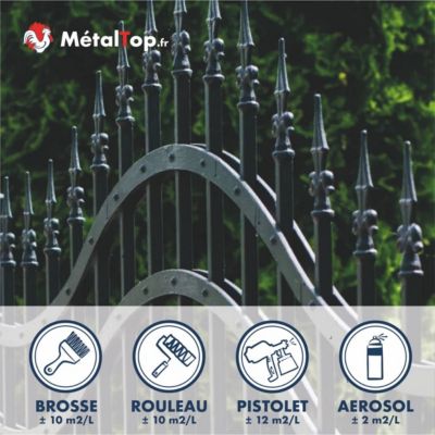 Peinture Portail Fer - Bleu pastel - RAL 5024 - 1 L - Métaltop