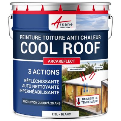 Peinture réfléchissante toiture anti chaleur - Cool Roof blanc isolant - ARCAREFLECT Blanc - 2.5 L - ARCANE INDUSTRIES