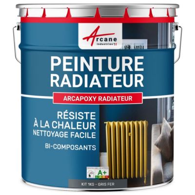 Peinture Radiateur fonte acier alu - PEINTURE RADIATEUR Gris fer - RAL 7011 - 1 kg (jusqu'à 5 m² en 2 couches) - ARCANE INDUSTRIES