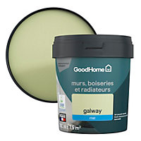 Peinture résistante murs, boiseries et métal GoodHome vert Galway mat 0,75L