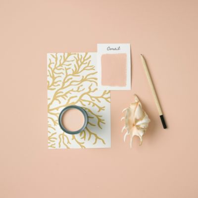 Peinture Rose Résistante aux projections et lessivable pour Murs de Cuisine, Mate - RUST-OLEUM - Corail 2,5 L