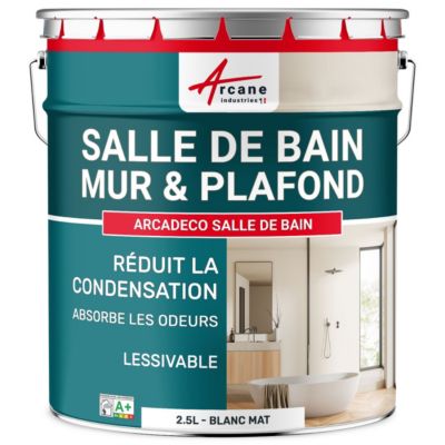 Peinture salle de bains mur et plafond :ARCADÉCO SALLE DE BAIN Blanc - 2.5 L - ARCANE INDUSTRIES