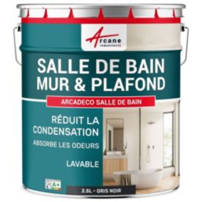 Peinture salle de bains mur et plafond :ARCADÉCO SALLE DE BAIN Gris Noir - RAL 7021 - 2.5 L - ARCANE INDUSTRIES