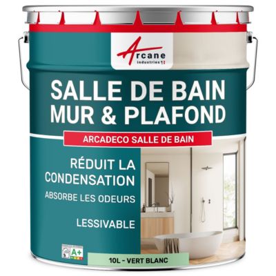 Peinture salle de bains mur et plafond :ARCADÉCO SALLE DE BAIN Vert Blanc - RAL 6019 - 10 L - ARCANE INDUSTRIES