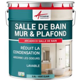 Peinture salle de bains mur et plafond :ARCADÉCO SALLE DE BAIN Vert clair - RAL 6027 - 2.5 L - ARCANE INDUSTRIES