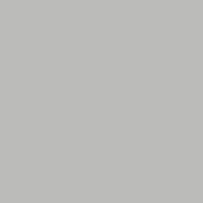 Peinture sol extérieur Ultra résistante gris galet satin Syntilor 4L