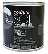 Peinture sol Premium basalte satin Colours 0,5L