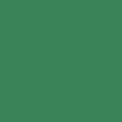 PEINTURE SOL - Résine Epoxy : REVEPOXY TRAFIC INTENSIF Vert signalisation - RAL 6024 - 25 kg  - ARCANE INDUSTRIES