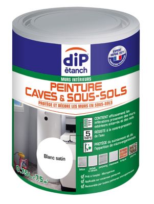 Peinture Special Cave Et Sous Sol Dip Blanc 750 Ml Castorama