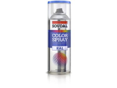 Peinture Spray Acrylique : Color Spray Blanc Mat / RAL9010