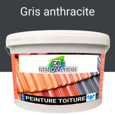 Peinture Toiture - Rénovation tuile - Gris anthracite 12KG (jusqu'à 120m²) Haute étanchéité / Imperméabilité - DB RENOVATION