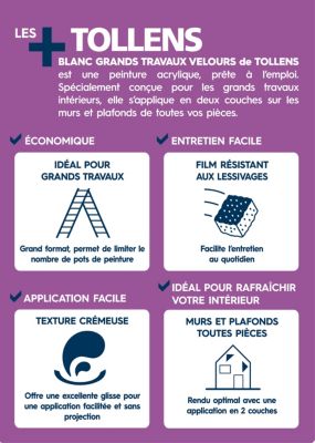Peinture Tollens Grands Travaux murs et plafonds velour blanc 15 L