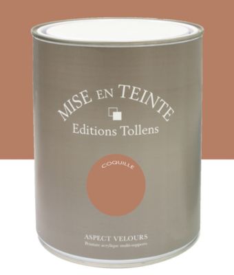 Peinture Tollens Mise en teinte murs, meubles et boiseries marron coquille 1L