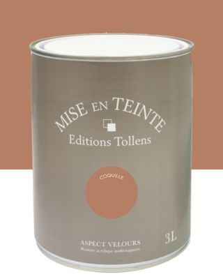 Peinture Tollens Mise en teinte murs, meubles et boiseries marron coquille 3L