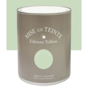 Peinture Tollens Mise en teinte murs, meubles et boiseries vert menthe à l'eau 1L