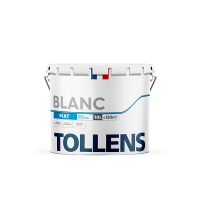 TOLLENS - Peinture Plafond Blanc - Toutes pièces - Limite les Traces de  Rouleau - Monocouche - Blanc Mat 5L = 60m2