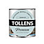 Peinture Tollens premium murs, boiseries et radiateurs céladon clair mat 0,75L