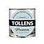 Peinture Tollens premium murs, boiseries et radiateurs céladon clair satin 0,75L