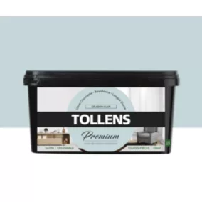 Peinture Tollens premium murs, boiseries et radiateurs céladon clair satin 2,5L