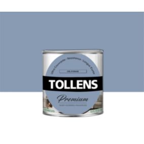 Peinture Tollens premium murs, boiseries et radiateurs ciel d'orage satin 0,75L