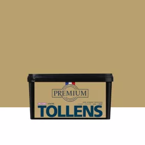 Peinture Tollens premium murs, boiseries et radiateurs doré soufre velours 2,5L