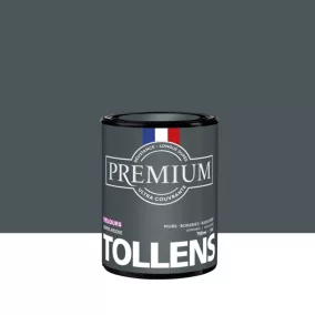 Peinture Tollens premium murs, boiseries et radiateurs gris ardoise velours 750ml