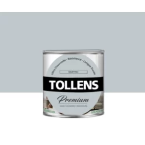 Peinture Tollens premium murs, boiseries et radiateurs gris tendre satin 0,75L