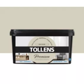 Peinture Tollens premium murs, boiseries et radiateurs jonc de mer mat 2,5L