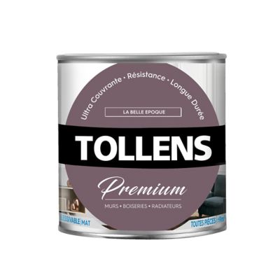 Peinture Tollens premium murs, boiseries et radiateurs la belle époque mat 0,75L