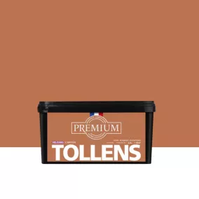 Peinture Tollens premium murs, boiseries et radiateurs marron canyon velours 2,5L