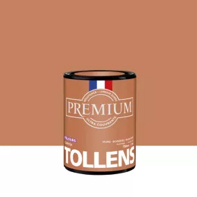 Peinture Tollens premium murs, boiseries et radiateurs marron canyon velours 750ml