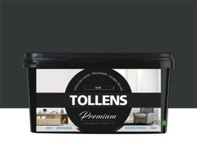 Peinture extérieure et intérieure fer noir mat Tollens 0,5L