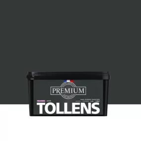 Peinture Tollens premium murs, boiseries et radiateurs noir velours 2,5L
