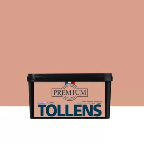 Peinture Tollens premium murs, boiseries et radiateurs velours beige sahara 2,5L