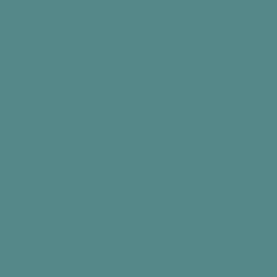 Peinture Tollens premium murs, boiseries et radiateurs vert buisson velours 50ml