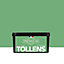 Peinture Tollens premium murs, boiseries et radiateurs vert d'été velours 2,5L