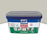 Peinture traitement anti-humidité DIP Gris perle 2.5 L