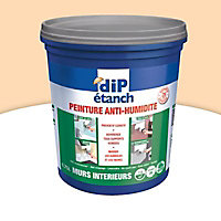 Peinture traitement anti-humidité DIP Sable 750 ml