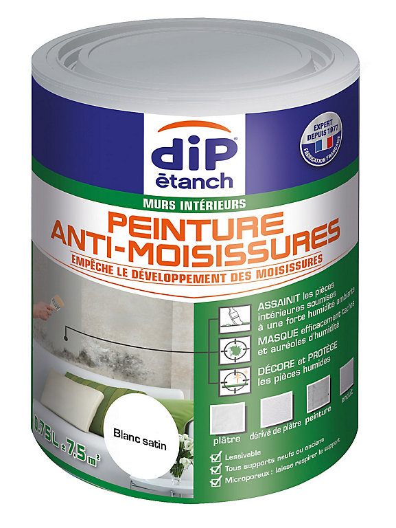 Peinture traitement anti-moisissures DIP Blanc 750 ml