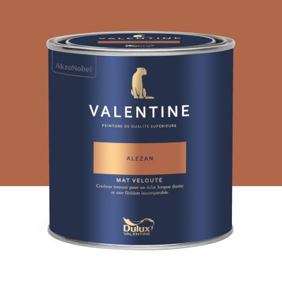 Peinture Valentine murs et boiseries Dulux Valentine rouge alezan velouté mat 0,5L