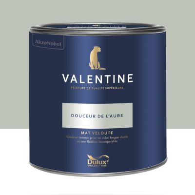 Peinture Valentine murs et boiseries Dulux Valentine vert douceur de l'aube velouté mat 2L