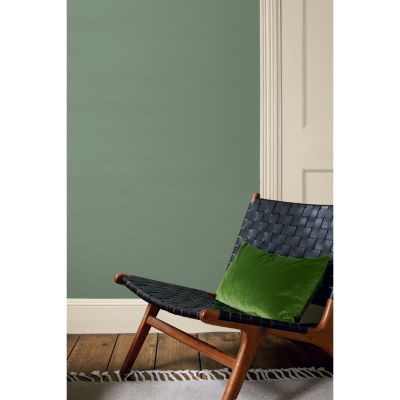 Peinture Valentine murs et boiseries Dulux Valentine vert yunnan velouté mat 2L