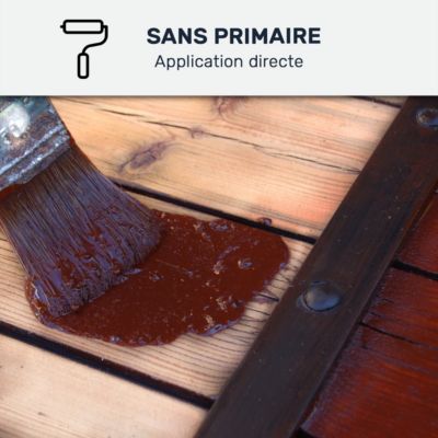 Peinture volet bois extérieur - Laque effet tendu longue durée Vert Pâle - RAL 6021 - 0.5 L - ARCANE INDUSTRIES