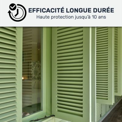 Peinture volet bois extérieur - Laque effet tendu longue durée Vert Pâle - RAL 6021 - 0.5 L - ARCANE INDUSTRIES