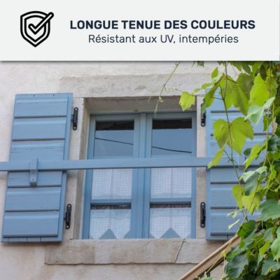 Peinture volet bois extérieur - Laque effet tendu longue durée Vert Pâle - RAL 6021 - 0.5 L - ARCANE INDUSTRIES