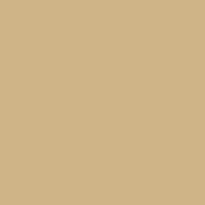 Peinture Volets Bois - Beige - RAL 1001 - 15 L - Métaltop